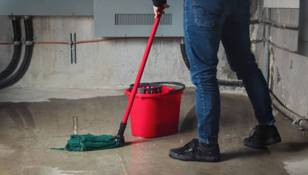 Best Water damage restoration cost  in Jamestown West, NY
