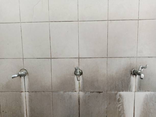 Best Professional water damage repair  in Jamestown West, NY