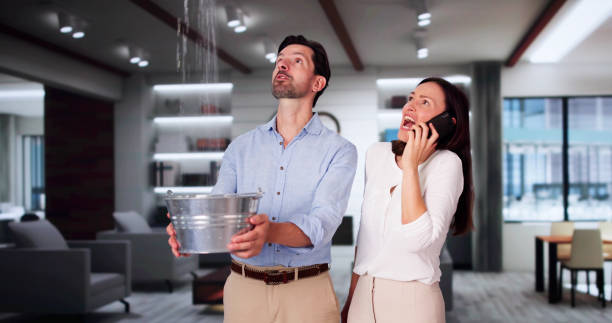 Best Local water damage restoration  in Jamestown West, NY