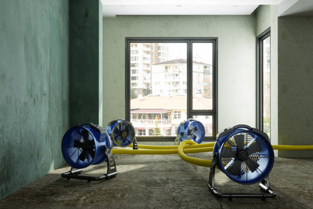 Best Basement water damage restoration  in Jamestown West, NY