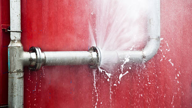 Best Ceiling water damage repair  in Jamestown West, NY