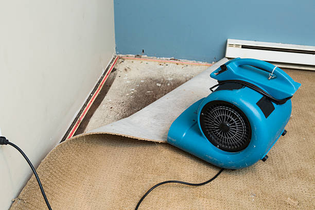 Best Emergency water damage restoration  in Jamestown West, NY